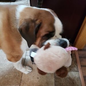 Meet your Posher, Crystal